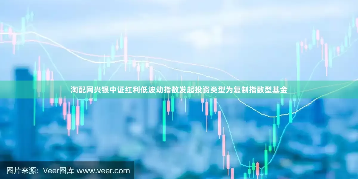 淘配网兴银中证红利低波动指数发起投资类型为复制指数型基金