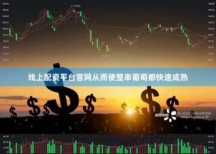 线上配资平台官网从而使整串葡萄都快速成熟