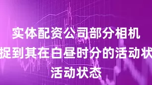 实体配资公司部分相机捕捉到其在白昼时分的活动状态