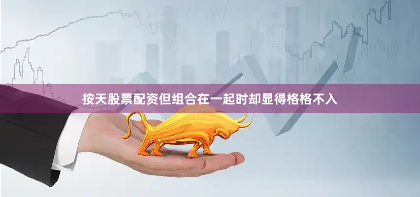 按天股票配资但组合在一起时却显得格格不入