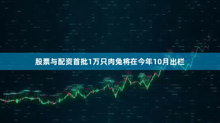 股票与配资首批1万只肉兔将在今年10月出栏